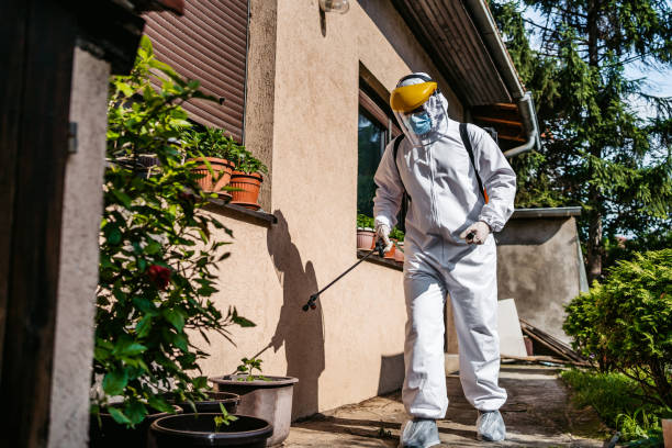 Best Best Pest Control Companies  in Santa Maria, CA