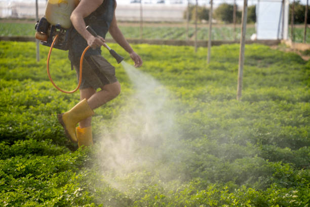 Best Emergency Pest Control  in Santa Maria, CA