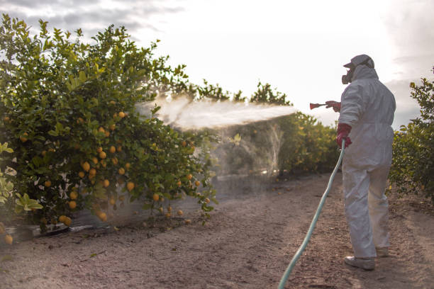 Best Pest Control Near Me  in Santa Maria, CA