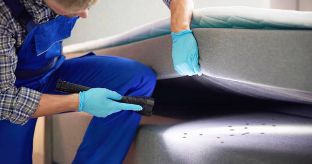 Best Cockroach Control Services  in Santa Maria, CA