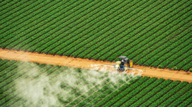 Best Pest Removal Services  in Santa Maria, CA