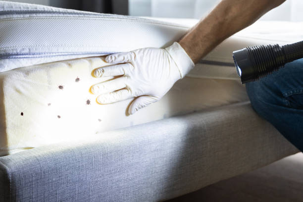 Best Pest Prevention Services  in Santa Maria, CA