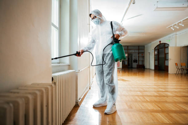 Professional Pest Control in Santa Maria, CA