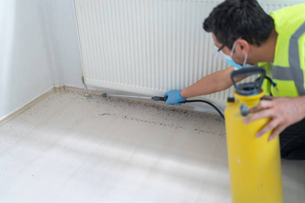 Best Commercial Pest Control Services  in Santa Maria, CA