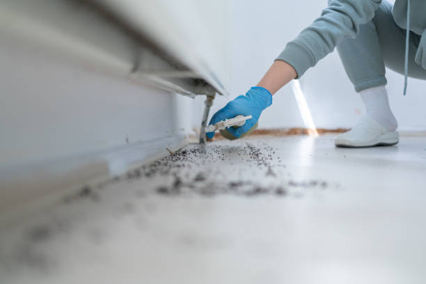 Best Mosquito Control Services  in Santa Maria, CA